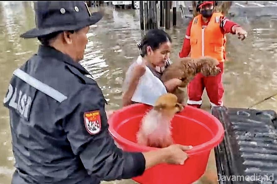 ECC14C1E A71F 479E BB26