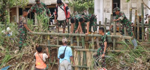 46b3b8b9 2358 4b12 8183 6c545f48992f