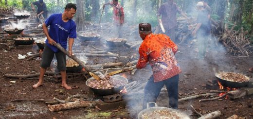 E2ae12c9 1125 4906 8390 4f583f5b3ffb