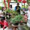 Kecamatan Semarang Timur Kembangkan Urban Farming berkonsep Healing