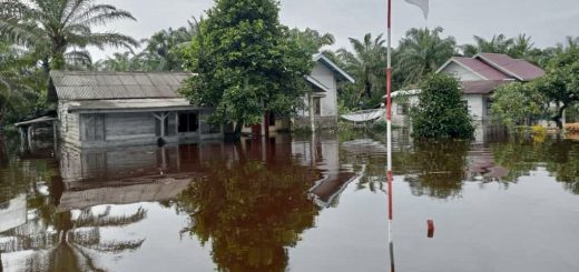 2c56662a 1990 4ffb 9223 87feecc557bd