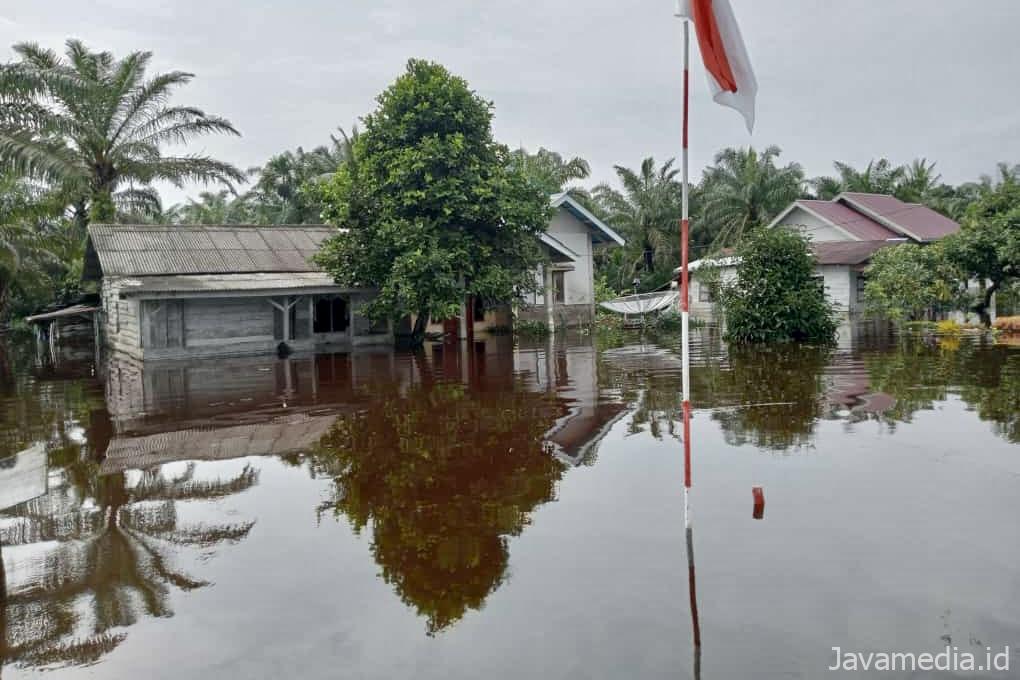 2c56662a 1990 4ffb 9223 87feecc557bd