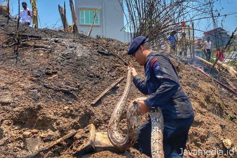 72E6A3F0 57C7 4E9E 830E A9AFC1E59572