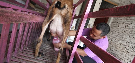 Ae90082c 7089 4c8d 9f5f 976fed1f1993