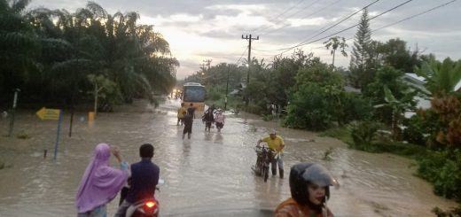 Bb2f2b5e Dd0e 4dd6 93be 6d1b7f3bfaba