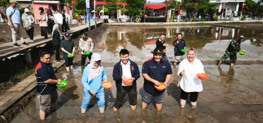 53a9f298 D4a9 4f67 B93e A91ef4943f7f