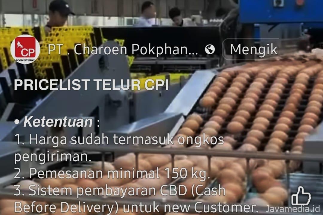 Edb02ed3 1762 494d a388 929e6ba21aa5