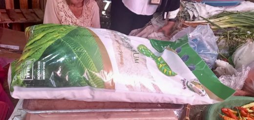 D5ee4b9a cc3b 4ef5 a9dd b50aea291daa