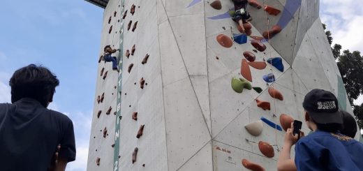 3cc285e5 4abc 47b1 b81c 1cee6110fe13