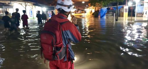 4aba96f8 c186 4c47 a404 1755326df8d0