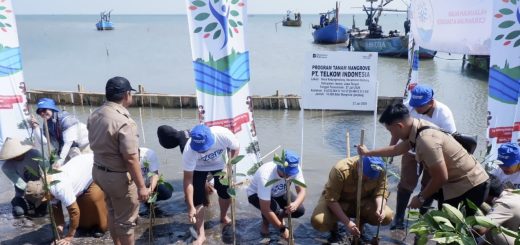 Telkom Tanam Mangrove