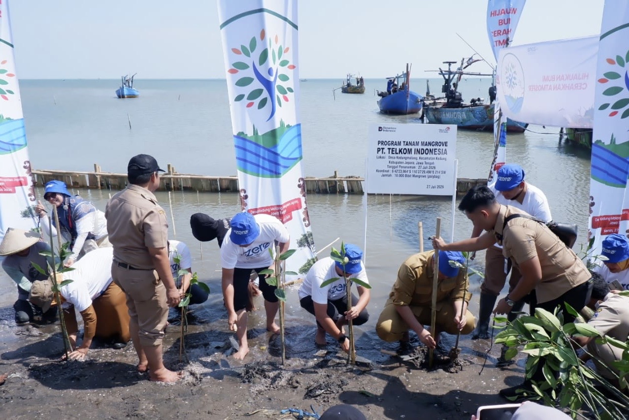 Telkom Tanam Mangrove