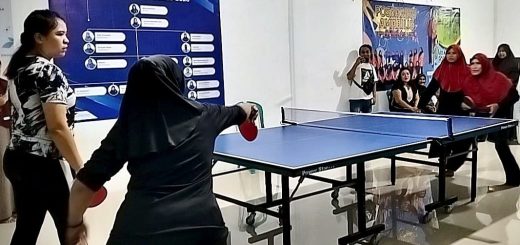 tenis meja